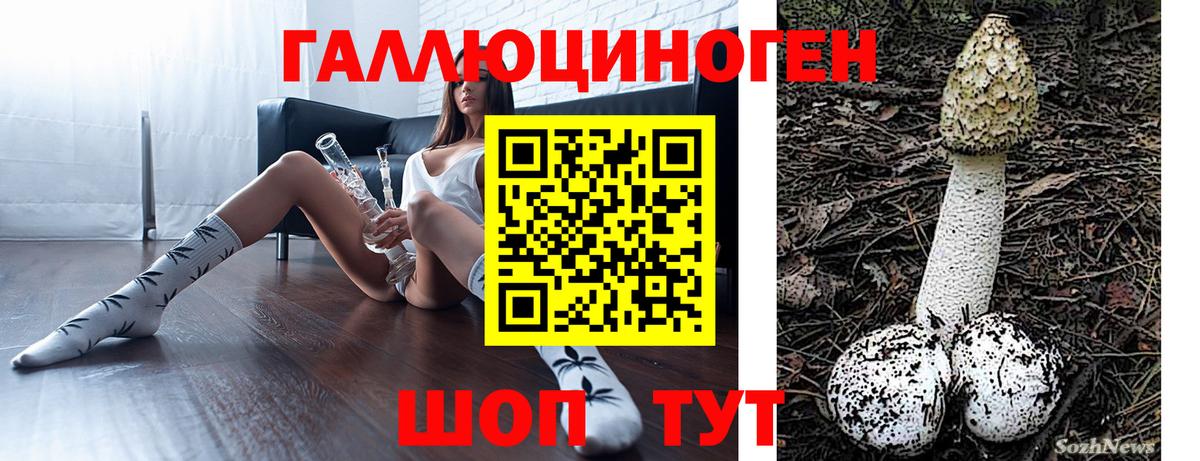 Галлюциногенные грибы мухоморы  Вход с VPN  Дивногорск 