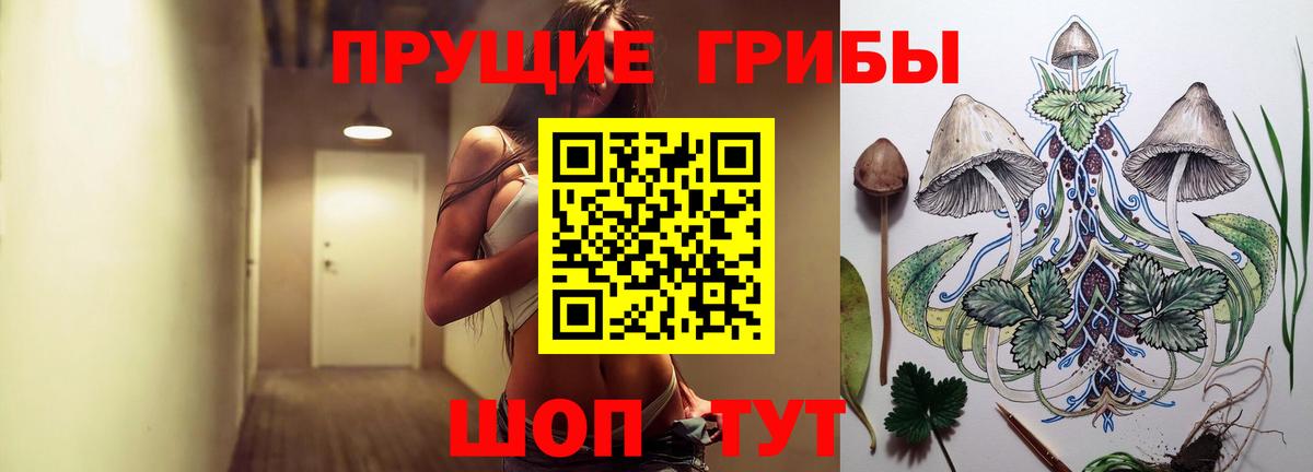 Галлюциногенные грибы Psilocybe Дивногорск
